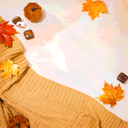 Thanksgiving Chocolate Gift Box with Assorted Truffles – Bonnie and Pop