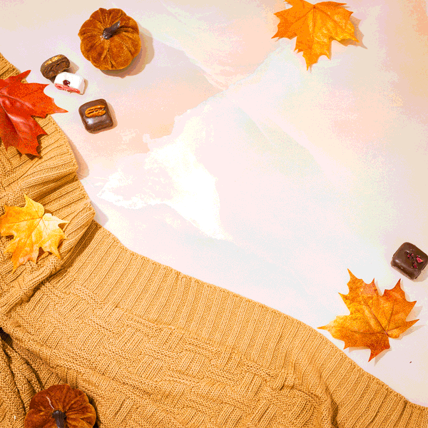 Thanksgiving Chocolate Gift Box with Assorted Truffles – Bonnie and Pop